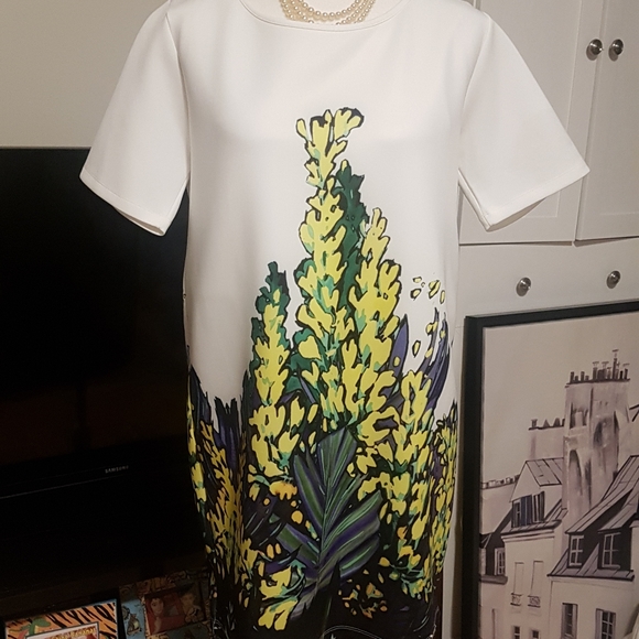 Beautiful Lolita & L Fern Dress - Picture 6 of 8